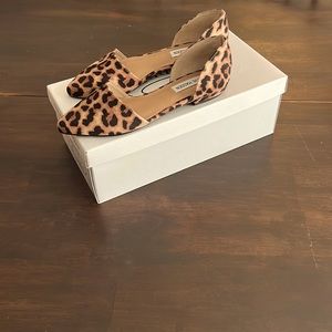 Steve Madden Cheetah Flats size 6.5
